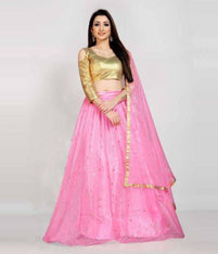 New Fashion Net Pink Moti Work Bollywood types Lehenga Choli