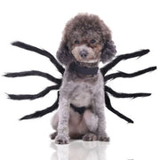 Funny Black Spider Dog Cat Pet Decoration