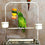 Trendy Retail 8" Stainless Steel Skewer Kabob Toy Treat Food Bird Parrot Small Animals