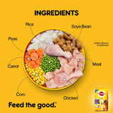 Pedigree Dry Food for Adult Dogs, Chicken & Vegetables Flavour, 10kg Pack