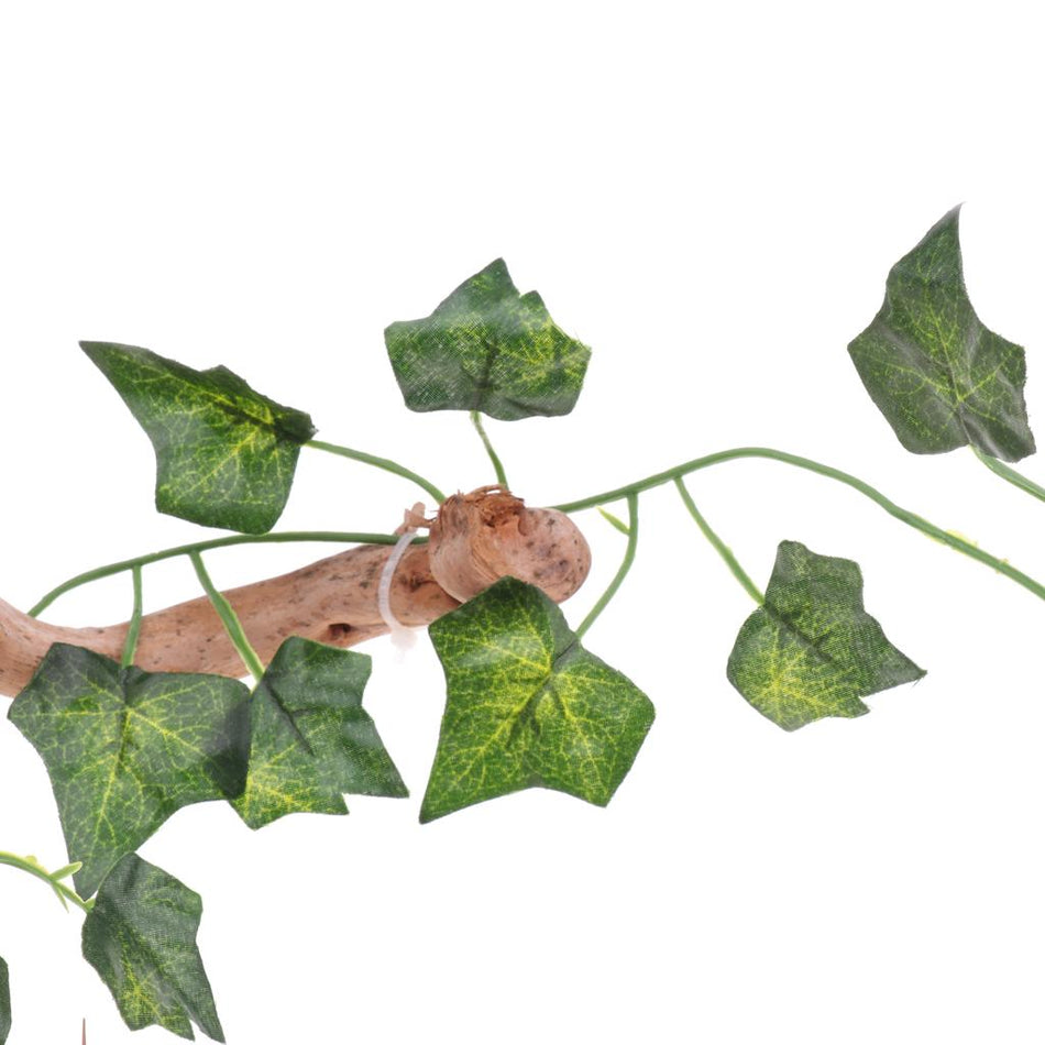 Trendy Retail Natural Rhododendron Wood Root with Artificial Vine Leaf- Creates Natural-looking Habitat for Reptile and Amphibian-Décor & Climbing Toy for Chameleons, Frogs, Geckos, Lizards
