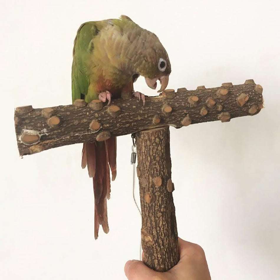 Trendy Retail T-shape Wood Pet Parrot Perch Stand with Buckle, Outside/Cage Attachment