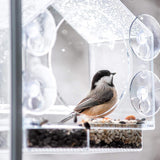 Trendy Retail Clear Acrylic Window Bird Feeder with 4 Strong Suction Cups Seed Tray