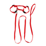 Trendy Retail Small Pet Rabbit Harness Traction Rope Pet leash Harness Nylon Random Color Pet Supplies Outdoor
