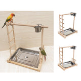 Trendy Retail Bird Parrot Playstand Playground Perch Gym Training Stand Bird Toys for Cockatoo Conure Lovebirds Finch