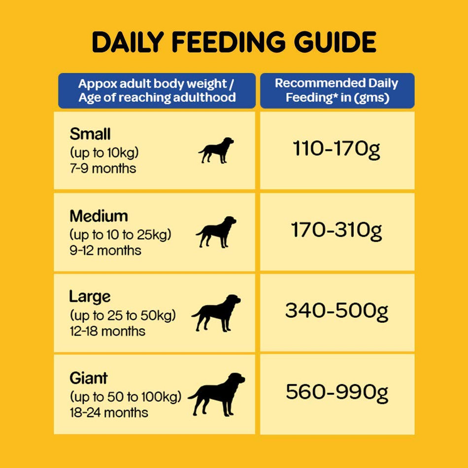 Pedigree Dry Food for Adult Dogs, Chicken & Vegetables Flavour, 10kg Pack